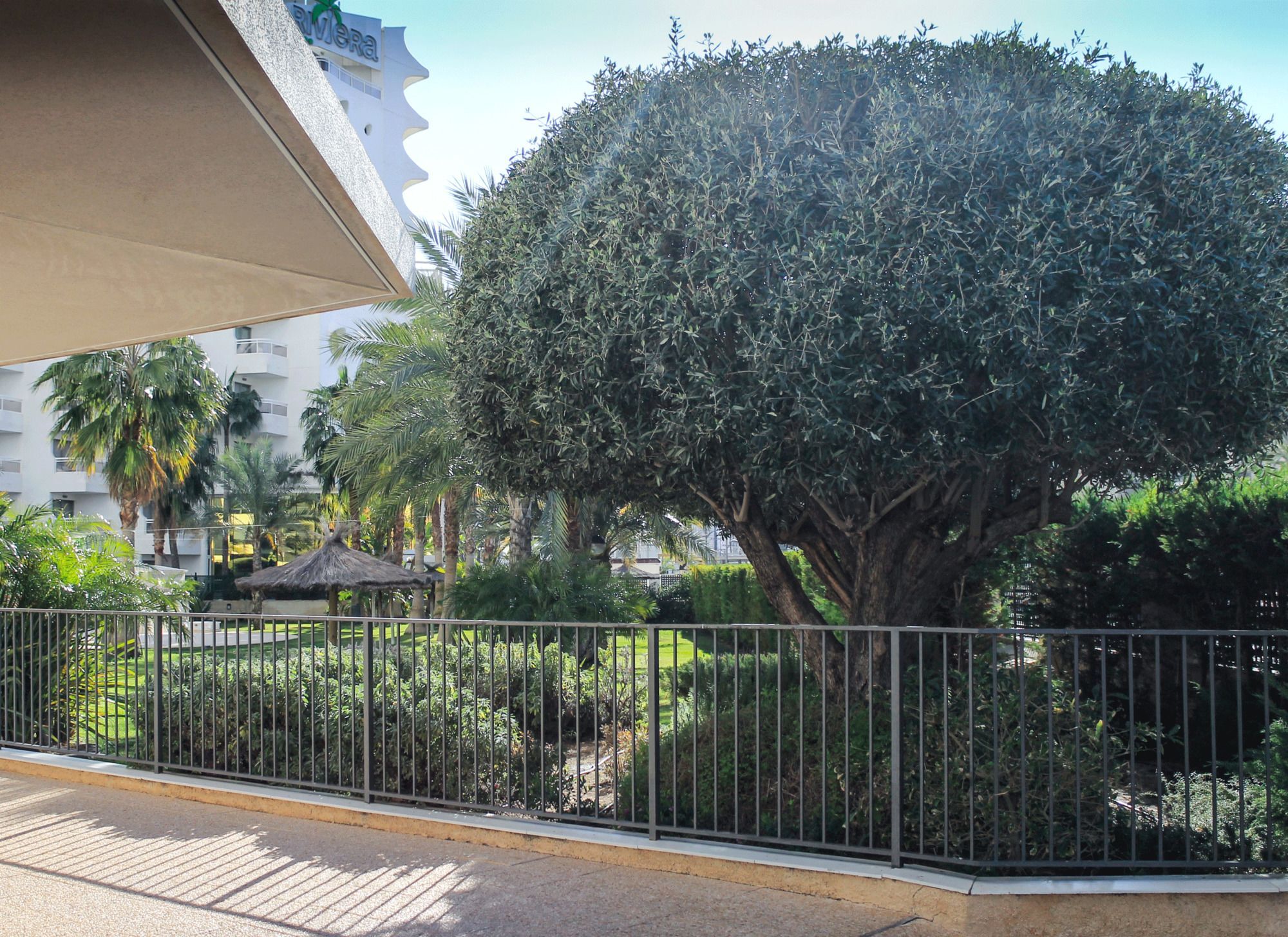 Apartamento Gema Gemelos 26 Benidorm Kültér fotó